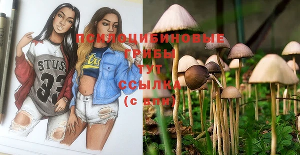 прущая мука Липки