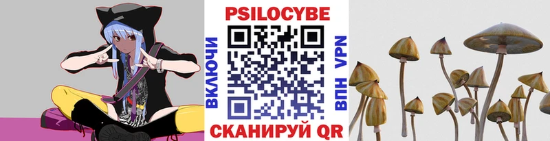 Псилоцибиновые грибы Psilocybine cubensis  Купить  Алупка 